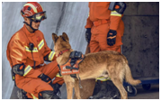搜救犬图传定位系统